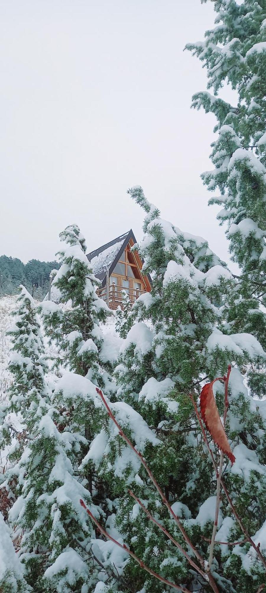 Monte Zen Villa Žabljak Eksteriør billede