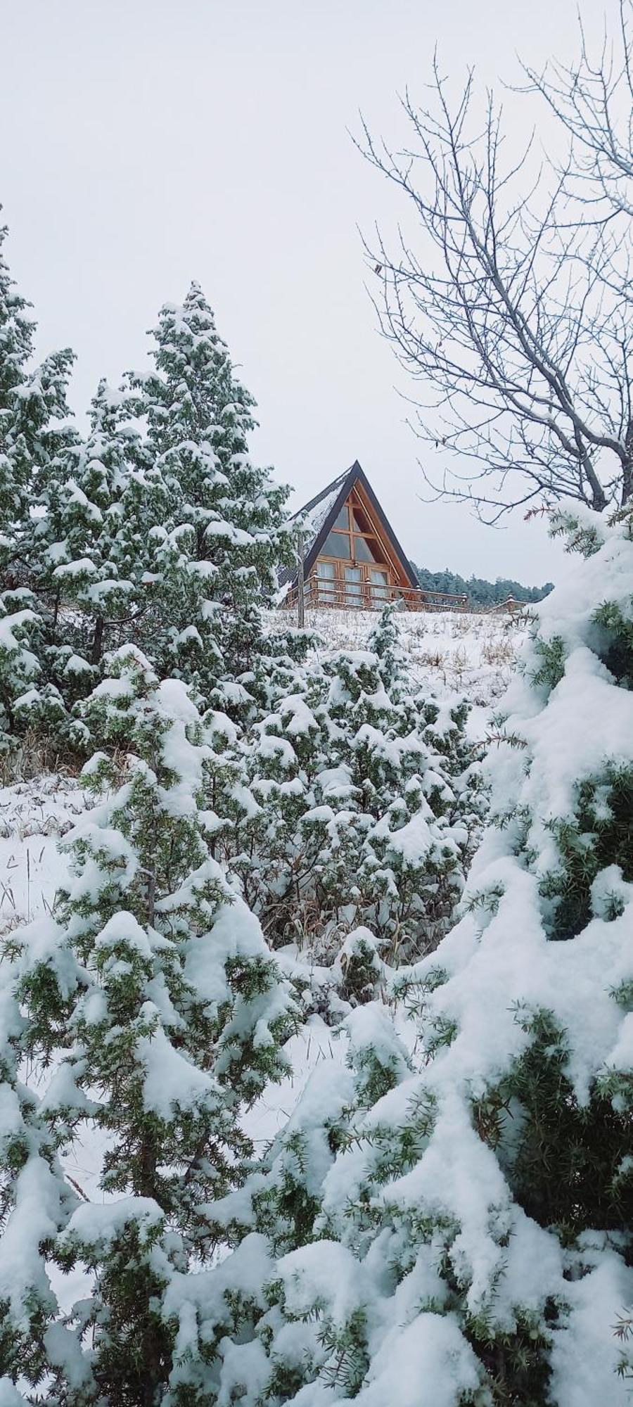 Monte Zen Villa Žabljak Eksteriør billede