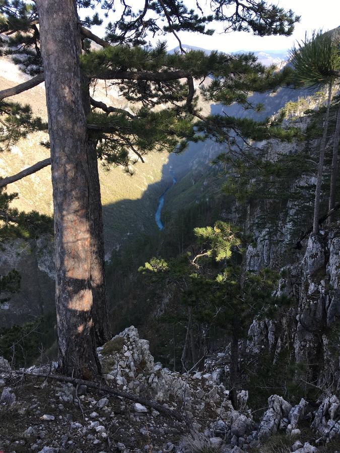 Monte Zen Villa Žabljak Eksteriør billede